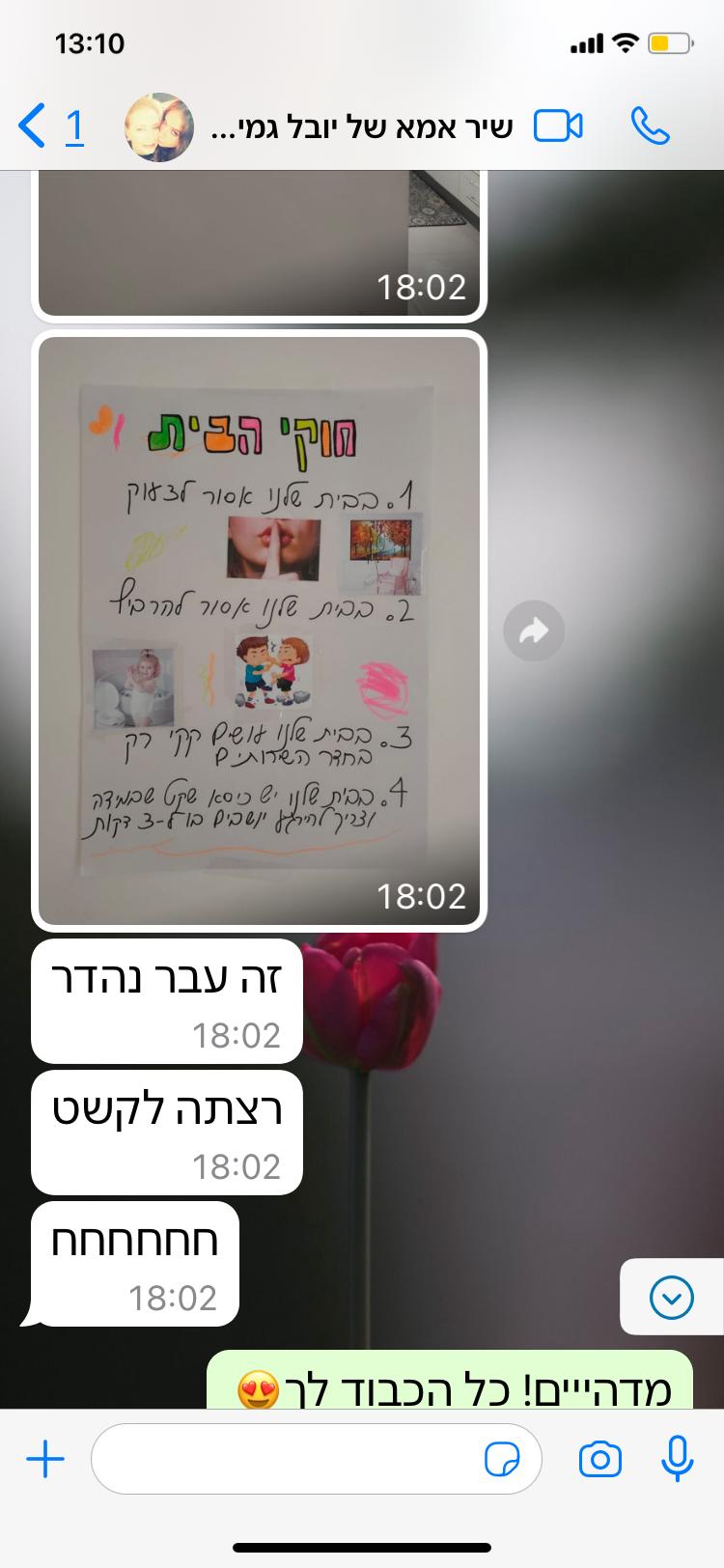 המלצה4